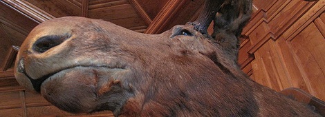 Photo by Hockadilly, used under Creative Commons license