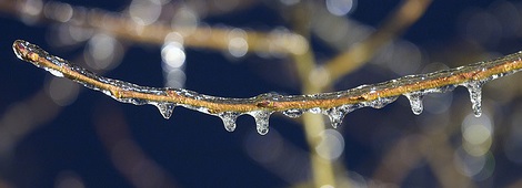 Photo by Mike Lutz, used under Creative Commons license