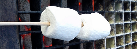 Cover photo by cyclonebill, used under Creative Commons license