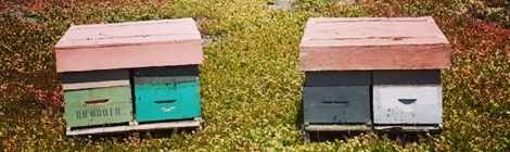 Cover photo by Tim Dickinson, used under Creative Commons license