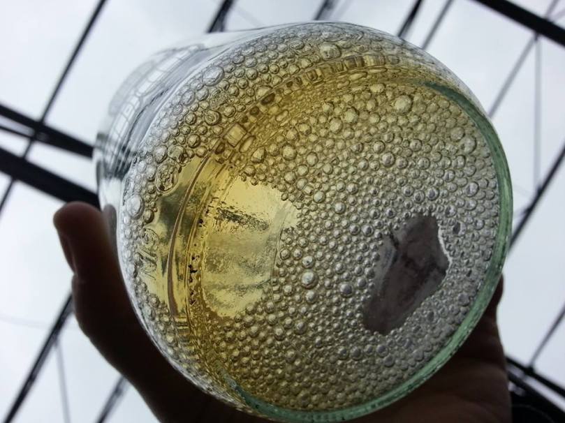 10440732_10153233743464409_1607988821473185804_n