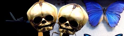 Cover photo by Adriana Lukas, used under Creative Commons license