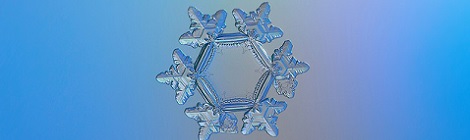 Cover photo by Alexey Kljatov, used under Creative Commons license