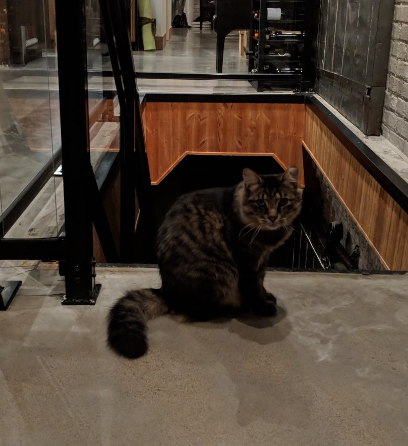 img_20180901_2101442