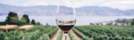 Photo by Kym Ellis on Unsplash