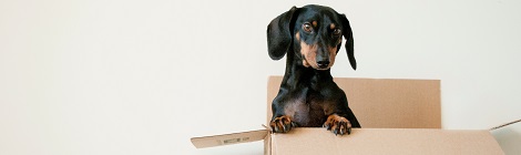 Cover photo by Erda Estremera on Unsplash