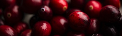 Photo by Joanna Kosinska on Unsplash