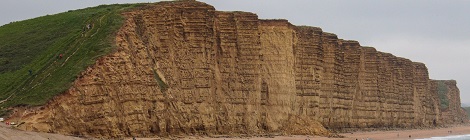 Cover photo by Nick Fewings on Unsplash